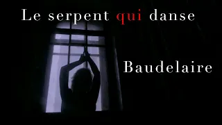 LE SERPENT QUI DANSE - Charles Baudelaire -  Chanson et Poésie - Etienne Sinouhé