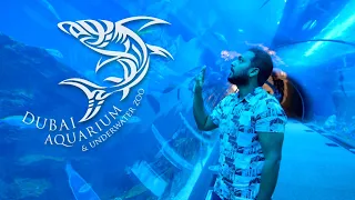 Exploring Dubai Aquarium & Underwater Zoo in Dubai Mall - 2022