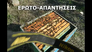 Απαντήσεις σε μελισσοκόμους: Τοπ θέματα της εβδομάδας