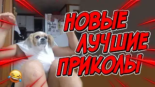 😂Я РЖАЛ ДО СЛЕЗ | ПРИКОЛЫ ЗА АПРЕЛЬ | FUNNY MOMENTS 2023 | 13 МИНУТ СМЕХА! | #412