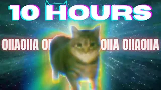 OIIA OIIA CAT 10 HOURS