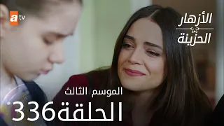 مسلسل الأزهار الحزينة | الحلقة 336 - الموسم الثالث