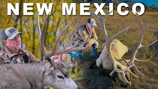 Elk & Mule Deer Hunt in New Mexico