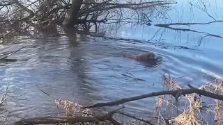 Калуга. Апрель ‘24 день 2