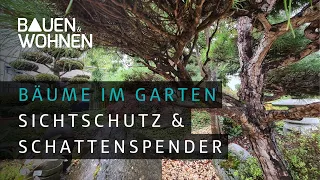 Sonnen- und Sichtschutz im Garten durch Bäume