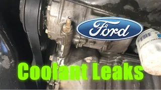 Ford Coolant Leak 3.5 And 3.7 CHECK THIS OUT!!!!