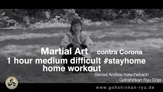 Martial Art contra Corona 1 hour medium difficult home Work out