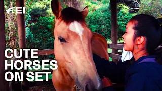 "My Horse is so cute!" The Bond between Horses & Humans | RIDE - Ep. 1