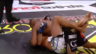 Alistair Overeem vs  Fabricio Werdum