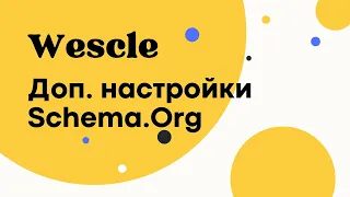 Schema Org - Wescle WordPress - Дополнительные настройки