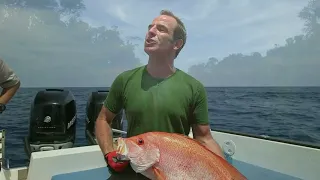 Robson Green Extreme Fisherman S1 Ep6 (Borneo) Sum-up