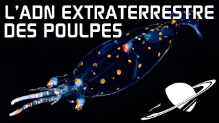 🪐De l'ADN Extra-Terrestre découvert chez un poulpe