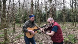 Fergal Scahill's fiddle tune a day 2017 - Day 112 - The Oak Tree