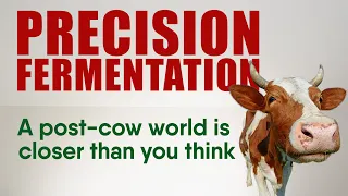 Coming Soon: A Post-Cow World - Precision Fermentation