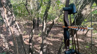 Traditional Bow Hunt | Public Land - 2023