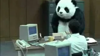 PANDA ENOJADO 1