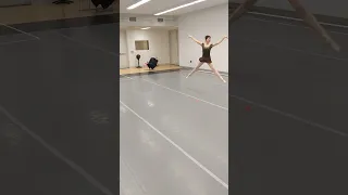 Raymonda “Lily Pad” Variation