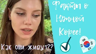 Факты о Южной Корее о Которых Мало Кто Знает