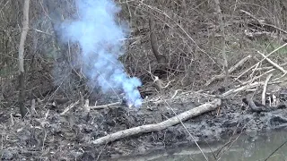 Beavers Dam Destroyed By RedNecks