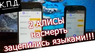 2 Алисы разговаривают между собой