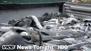 Alaska Initiative To Protect Wild Salmon Could Kill Off A Massive Open-Pit Mine (HBO)