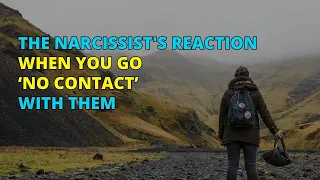 🔴The Narcissist's Reaction When You Go ‘No Contact’ With Them | Narc Pedia | NPD