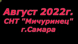 На даче у друзей ,август 2022г.