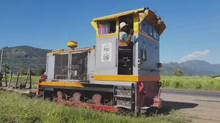 FIJI CANE TRAIN AND MEET LOCAL FARMERS UNLOADING CANE | NURAISA APIDOL