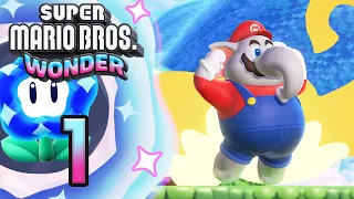 BENVENUTI NEL REGNO DEI FIORI - Super Mario Bros. Wonder ITA - Parte 1