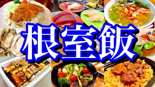 【北海道絶品グルメ】根室&知床、日本最東端の地で美味いもんを食べまくる！レンタカーで巡る1泊2日のご当地グルメ旅が最高過ぎた！(厚岸・根室・知床・羅臼)〜秋の北海道旅行編PART3〜