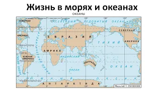 17. Жизнь в океанах (5 класс) - введение в Биологию