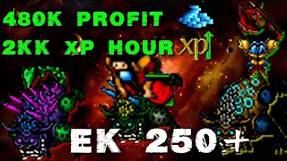 Hunt carnivors EK 250+ 2kk XP 500k PROFIT hora TIBIA