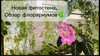 Новая фитостена, обзор флорариумов!🌿💚