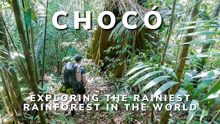 Chocó - Exploring the rainiest rainforest in the world. Part 1/2