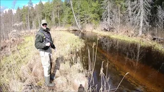 Minu suurim jõeforell! My biggest brown trout!