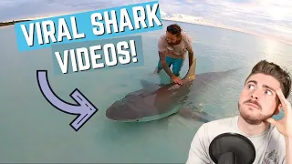 CRAZY Shark Viral Videos: October