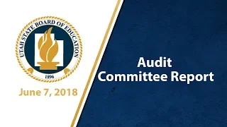 08  Audit Committee Report