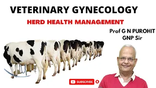 Herd Health management I Veterinary Gynecology I Dairy Herds I VGO I GNP Sir I BVSc I Unit 1