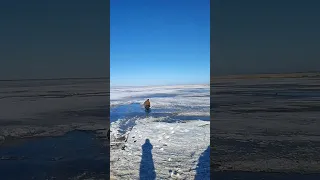 весенняя рыбалка в Казахстане. город Кокшетау, озеро Копа
