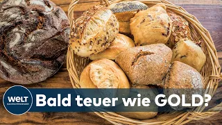 GRUNDNAHRUNGSMITTEL: Warum Brot und Brötchen jetzt erheblich teurer werden könnten
