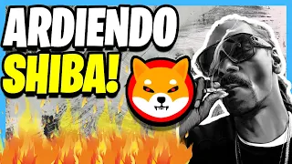 🐥 SHIBA INU PUEDE SUPERAR A DOGECOIN! 🐶 QUEMAS DE TOKEN ¿PREPARADO? 🔥Análisis Criptomonedas PRECIO ✅