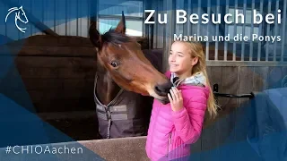 Zu Besuch bei: Marina und die Ponys