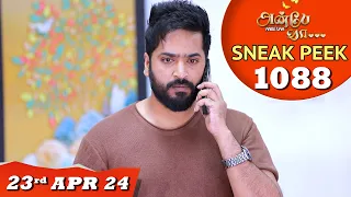 Anbe Vaa Serial | EP 1088 Sneak Peek | 23rd Apr 2024 | Virat | ShreeGopika | Saregama TV Shows Tamil