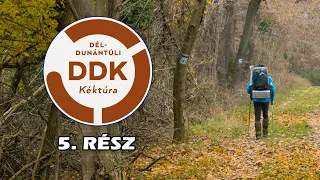 RP-DDK: 5. rész - Zobákpuszta - Szekszárd (80km)