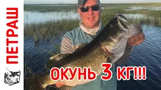 ОПЯТЬ КРУТАЯ РЫБАЛКА!!! МОНСТРЫ рвут снасть!!! Окунь 3 кг!!! Мечта сбылась часть 3