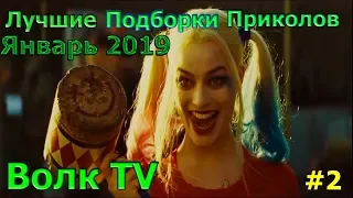 Подборка Приколов - Январь 2019, самые лучшие приколы,best coub.Часть 2. Приколы.