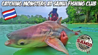 Catching Monsters At The Samui Fishing Club & Resort | Koh Samui, Thailand