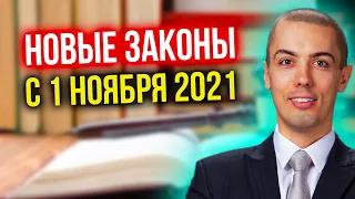 Новые законы с 1 ноября 2021