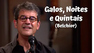 Galos, Noites e Quintais (Belchior)