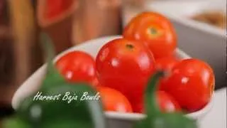 Harvest Baja Bowls - Harvest Organic Grille -  Organic, natural and healthy food restaurant